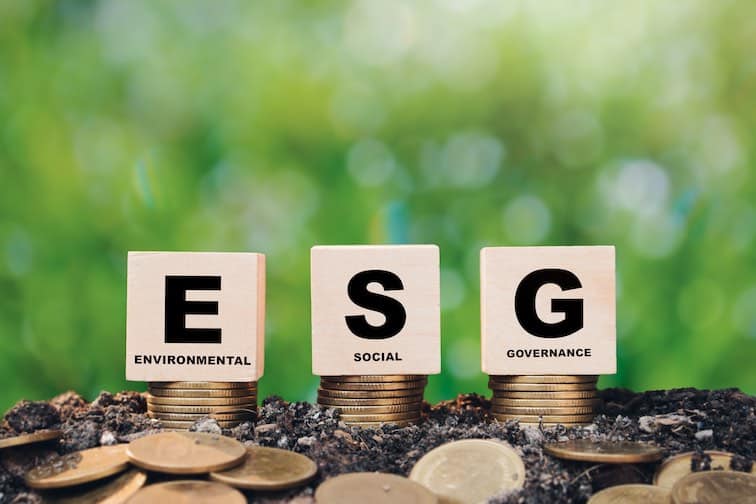 ESG - The concept of environmental, social, and governance as one of the types of investors.